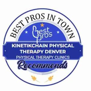 Best Pros in Town recommended
